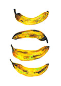 Four overripe bananas with brown spots on a white background