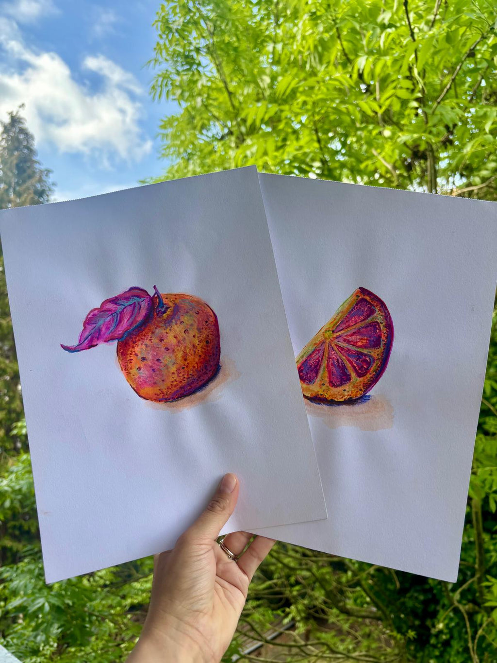 Pink Citrus - Print